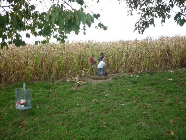 Herbstspaziergang der Sternenkinder des Fröbelhauses Gauangelloch